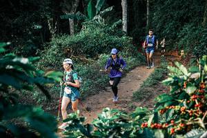 BIB: 
                            <button type="button" onclick="openModal(25819405)" class="btn btn-primary btn-sm float-right btn-popup" data-toggle="modal" data-target=".modal-high-quality">
                        <i class="fas fa-shopping-cart"></i> Add to Cart
                    </button>
                                            <button type="button" onclick="isThisMe(25819405, true)" class="btn btn-success btn-sm float-right btn-popup btn-isme hidden" data-toggle="tooltip" data-placement="bottom" title="นี่คือรูปของคุณใช่ไหม คลิกที่นี่เพื่อเอาเข้าอัลบั้ม">
                        <i class="fas fa-plus"></i> Add to album
                    </button>
                    <button type="button" onclick="isThisMe(25819405, false)" class="btn btn-warning btn-sm float-right btn-popup btn-isnotme hidden">
                        <i class="fas fa-ban"></i> Remove from album
                    </button>